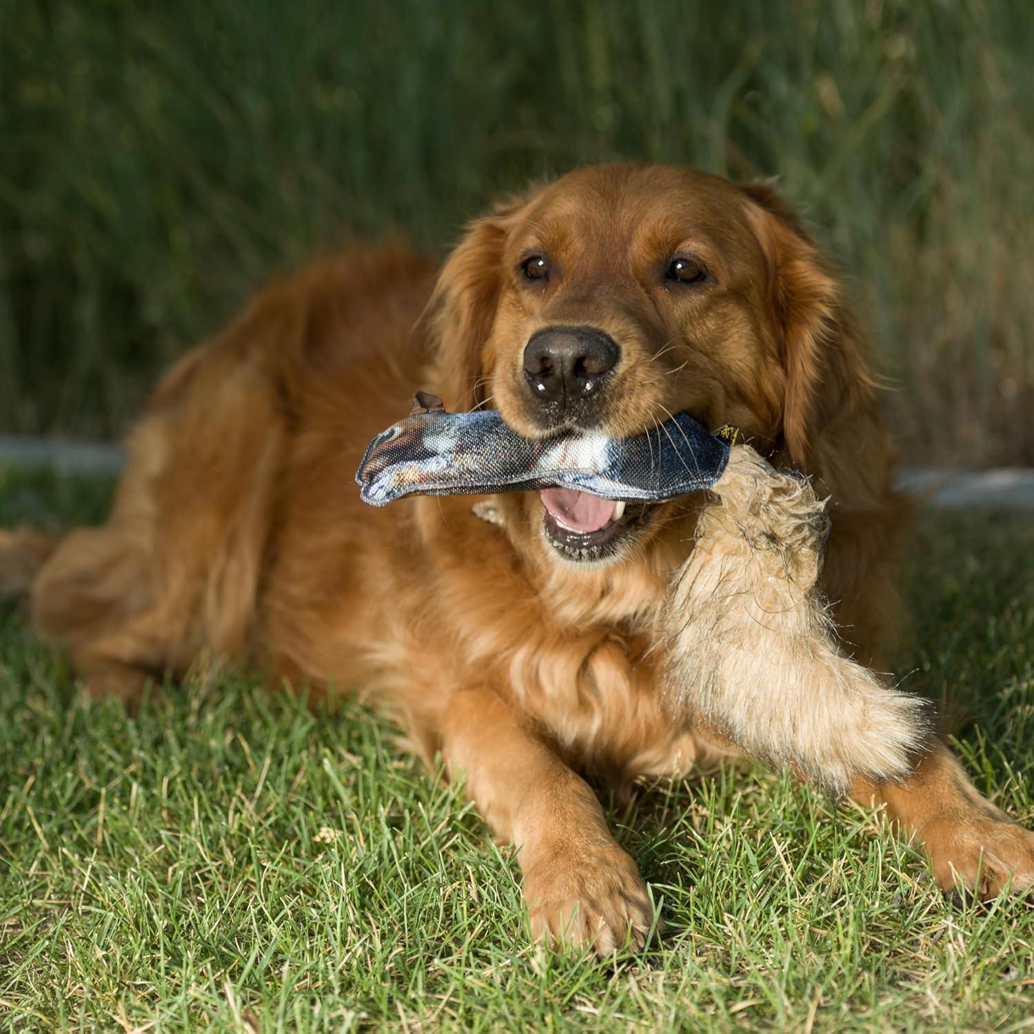 image:imageBrowning Pet Toys Durable Dog Toys for Tug and Fetch Shot Shell Red Squeaker ToySquirrel Fabric Squeaker Toy